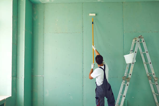Best Attic Mold Removal  in Apple Mountain Lake, VA