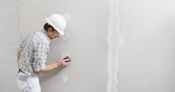 Best Black Mold Removal  in Apple Mountain Lake, VA
