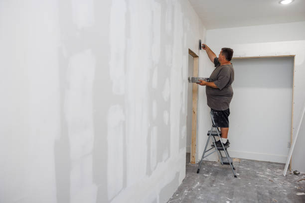Best Real Estate Mold Inspection  in Apple Mountain Lake, VA