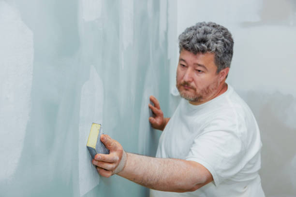 Reliable Apple Mountain Lake, VA Mold Removal Solutions