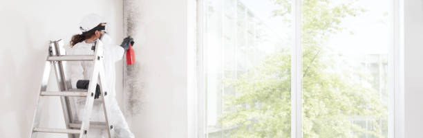 Best Industrial Mold Remediation  in Apple Mountain Lake, VA