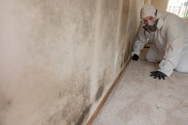 Best HVAC Mold Inspection and Cleaning  in Apple Mountain Lake, VA