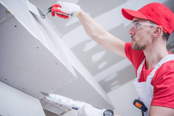 Best Water Damage & Mold Remediation  in Apple Mountain Lake, VA